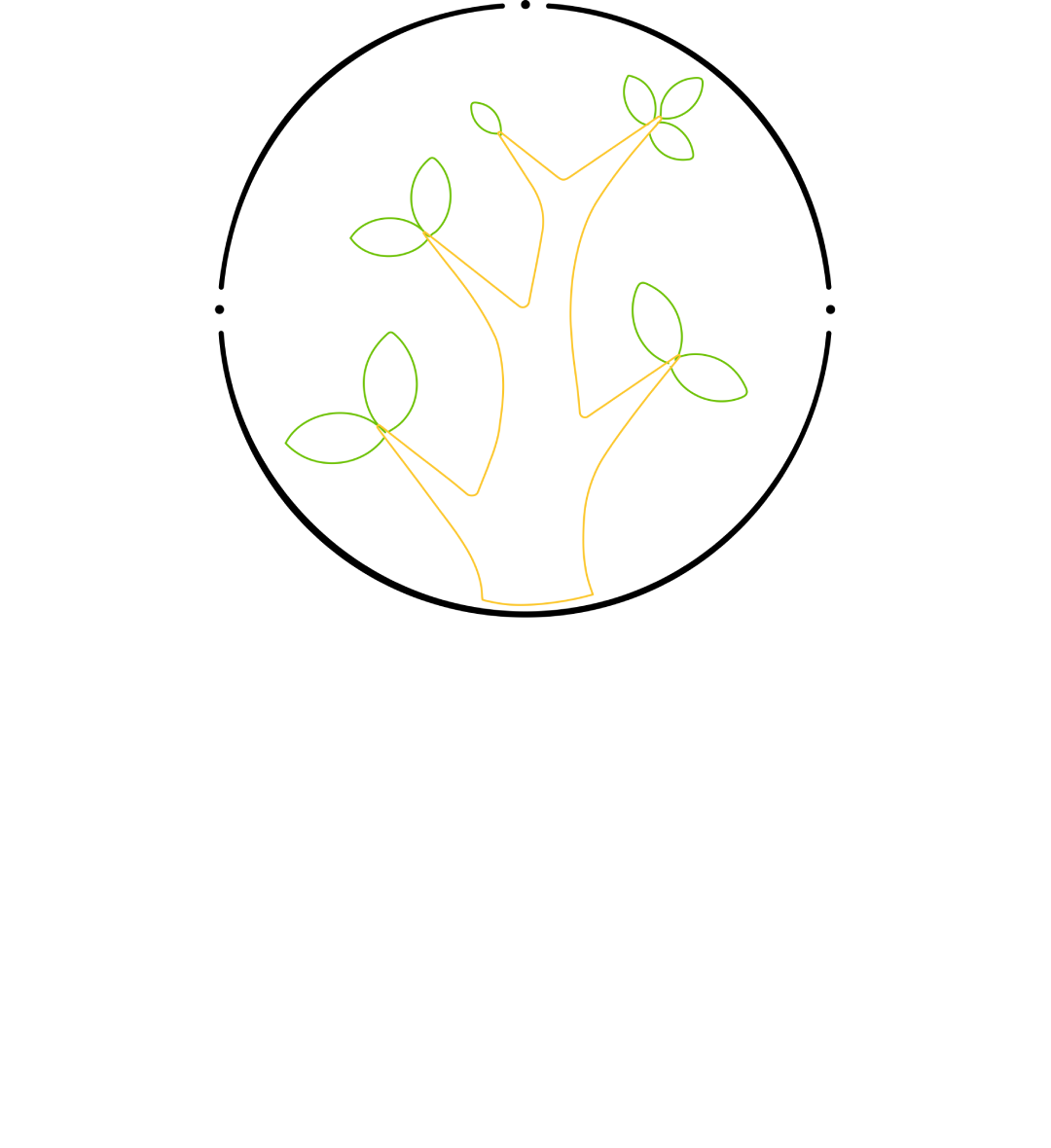 Growth Vidhyapeeth